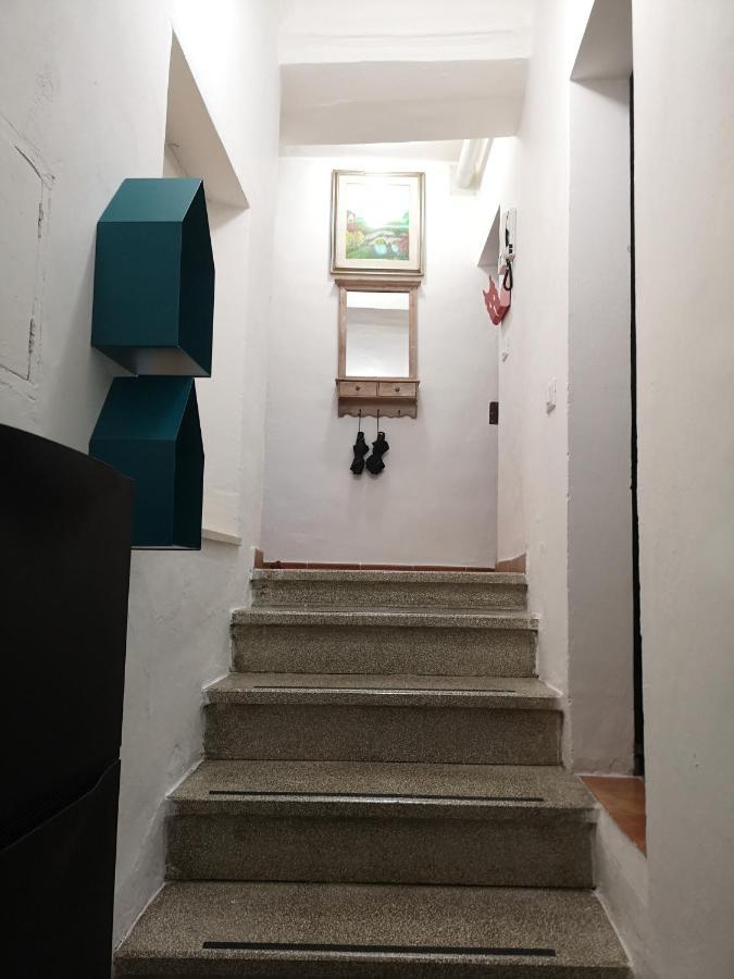 Appartamento Tipico In Centro Storico אורבינו מראה חיצוני תמונה